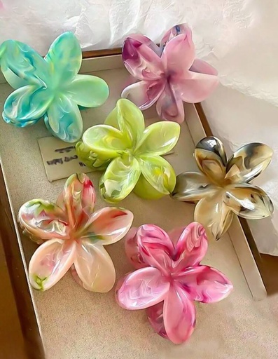 Pinzas flor playeras  multicolores